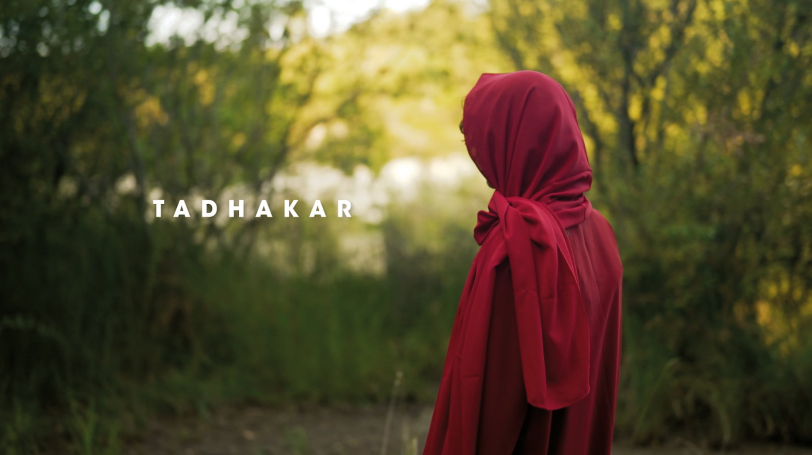 Extract from the video-performance [Tadhakar].